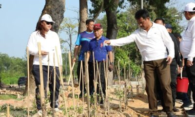 Tanam 1.800 Pohon Jati Mas, Kepala BP Batam Terus Melaju Wujudkan Batam Baru yang Hijau dan Lestari