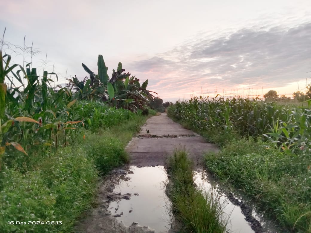 SANOPATI 08 Simalungun Adukan Dugaan Korupsi Dana Desa Nagori Rayabosi - Simalungun Ke Kejari Simalungun.