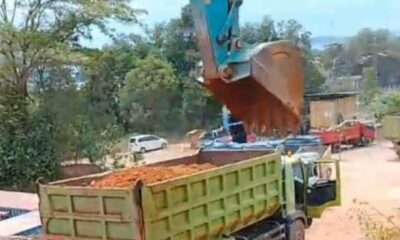 Reklamasi dan Cut-Fill Ilegal Ancam Batam Dumptruck Luar Daerah Rusak Lingkungan, PAD Kepri Terancam Hilang