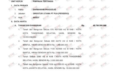 Di Tengah Kontroversi PLN Terus Rugi, Kekakayaan Dirut Darmawan Prasodjo Malah Melangit