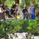 Mahasiswa Unrika Tanam Mangrove di Dam Duriangkang, Jaga Kelestarian Sumber Air Batam