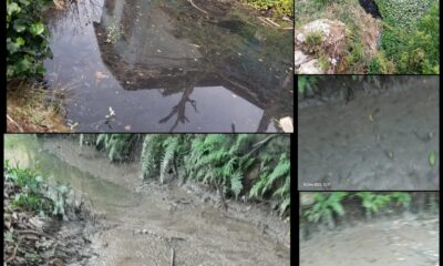 Bersih-bersih Instan Usai Diungkap Media, PT Fuyuan dan PT BKS Tetap "Bungkam" Soal Dugaan Limbah B3