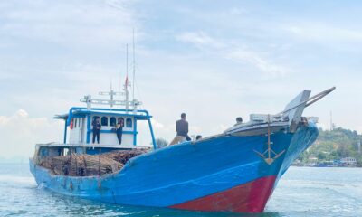 12 Ribu Kayu Bakau Diselundupkan ke Singapura, Polisi Gagalkan di Perairan Batam!