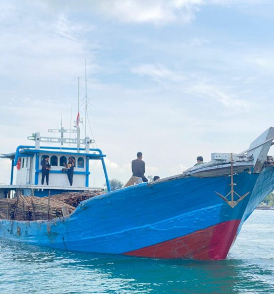 12 Ribu Kayu Bakau Diselundupkan ke Singapura, Polisi Gagalkan di Perairan Batam!