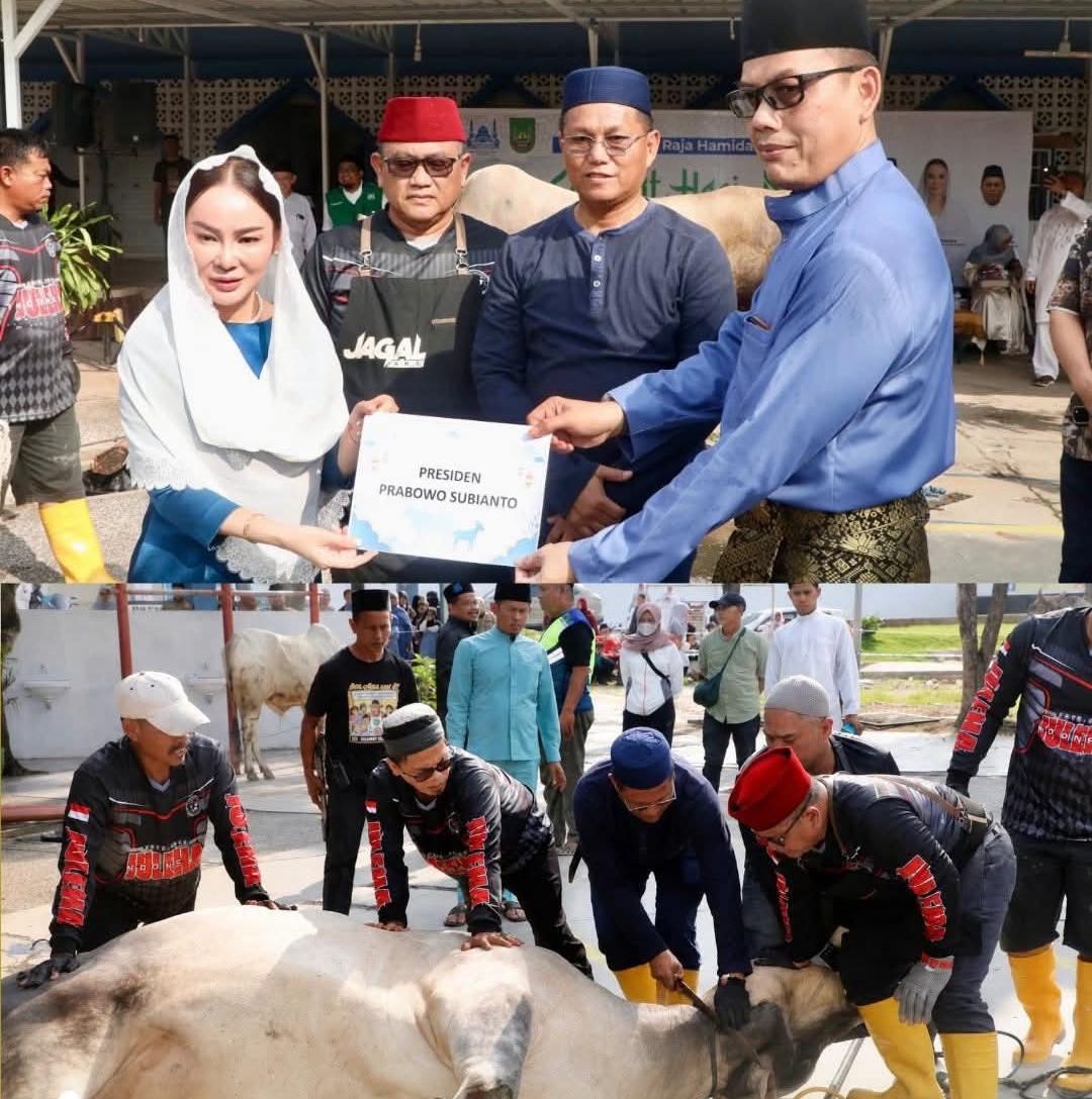 Momentum Iduladha 1447 H, Li Claudia Salurkan Hewan Kurban Presiden Prabowo di Batam