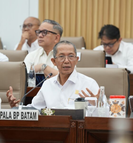 Optimalkan Pengelolaan PNBP, Komisi VI DPR RI Nilai Tata Kelola BP Batam Semakin Baik