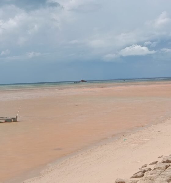 Dampak Reklamasi PT Sri Indah di Teluk Mata Ikan Jadi Sorotan, Li Claudia Chandra Diminta Turun Sidak