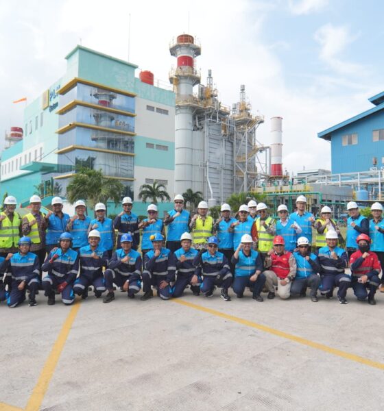 Swedia Perkuat Pasokan Listrik untuk Investasi Strategis di Batam
